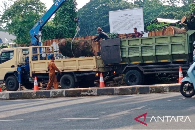 Jalan Dago Bandung Kembali Normal Setelah Pohon Tumbang, Tiga Warga Luka-luka