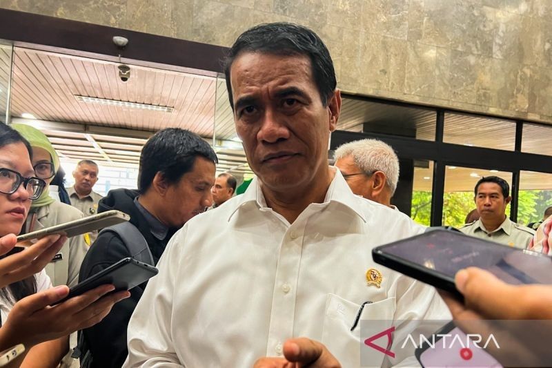 Mentri Pertanian Desak Pembatasan Impor Singkong untuk Lindungi Petani