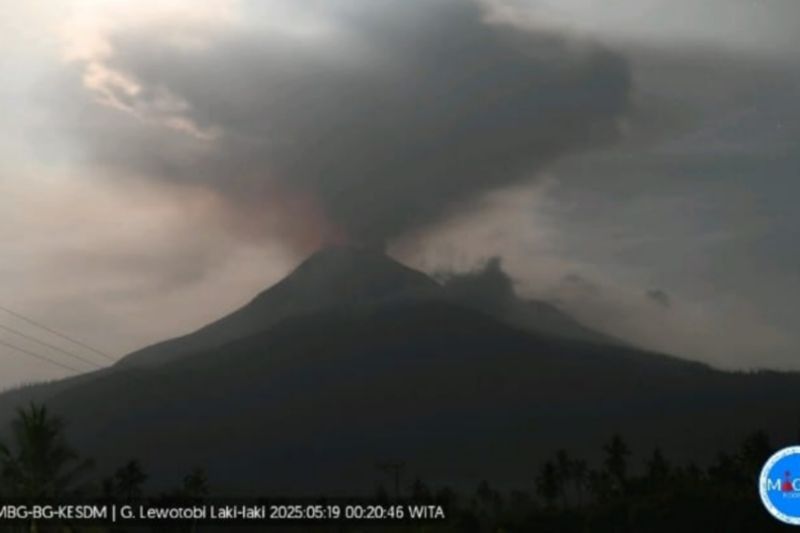 Gunung Lewotobi Laki-laki Erupsi, Lontarkan Abu Vulkanik hingga 1.200 Meter