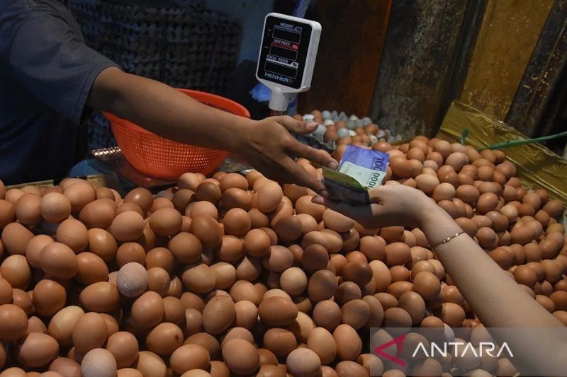 Bapanas: Harga Telur Ayam Ras Rp29.018/kg, Bawang Merah Turun Jadi Rp37.800/kg