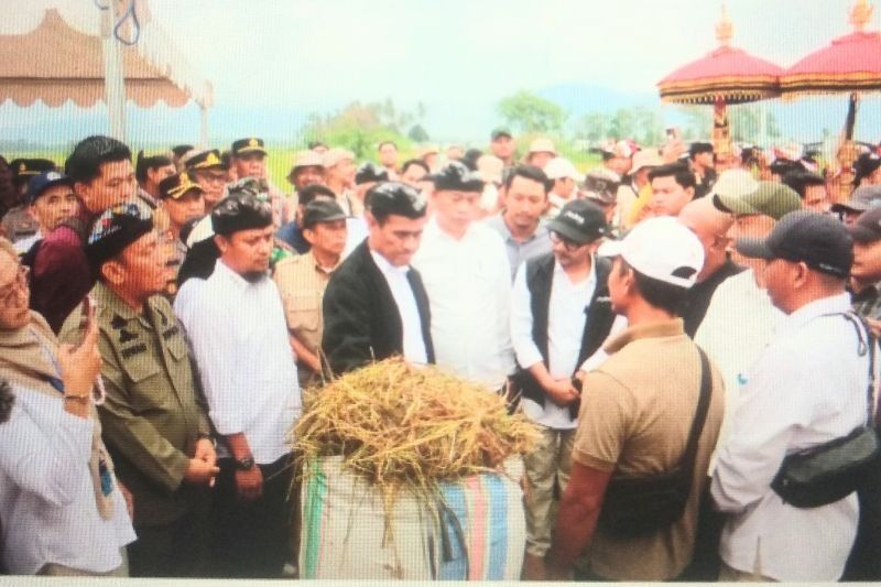 Mentan Dorong Petani Luwu Timur Panen Padi Empat Kali Setahun dengan Sistem Super Genjah