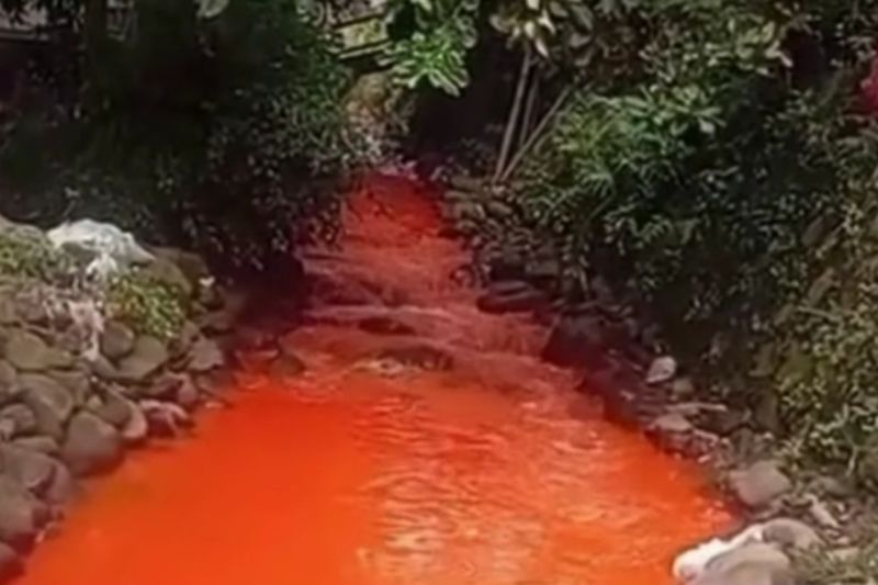 Sekda Bogor Kerahkan DPKPP Usut Tuntas Pencemaran Sungai Citeureup Akibat Limbah Industri