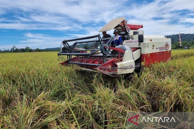 Gubernur Papua Barat Fokus Kembangkan Lima Program Unggulan Pertanian Hingga 2025
