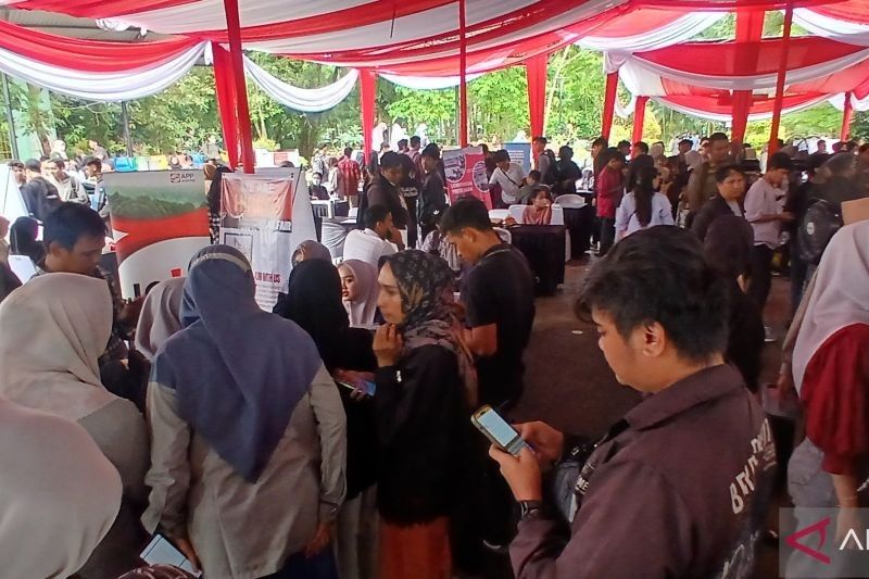 Pemkot Jambi Sediakan 13 Ribu Lowongan Kerja di Bursa Kerja HUT ke-2025