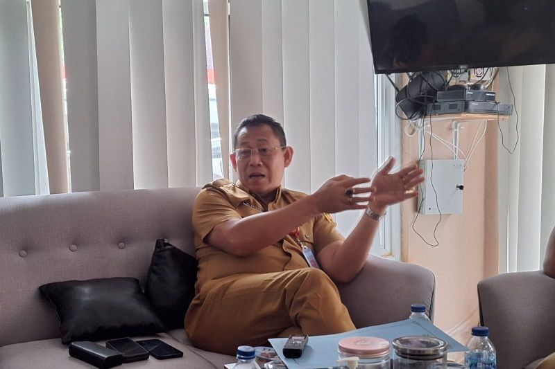 Pemprov Sumsel Alokasikan Rp70 Miliar untuk Perbaikan Sembilan Jembatan pada 2025