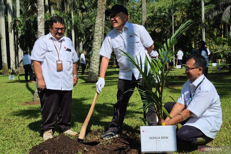 BRIN Optimalkan Fungsi Kebun Raya Bogor: Konservasi, Riset, dan Wisata Berkelanjutan