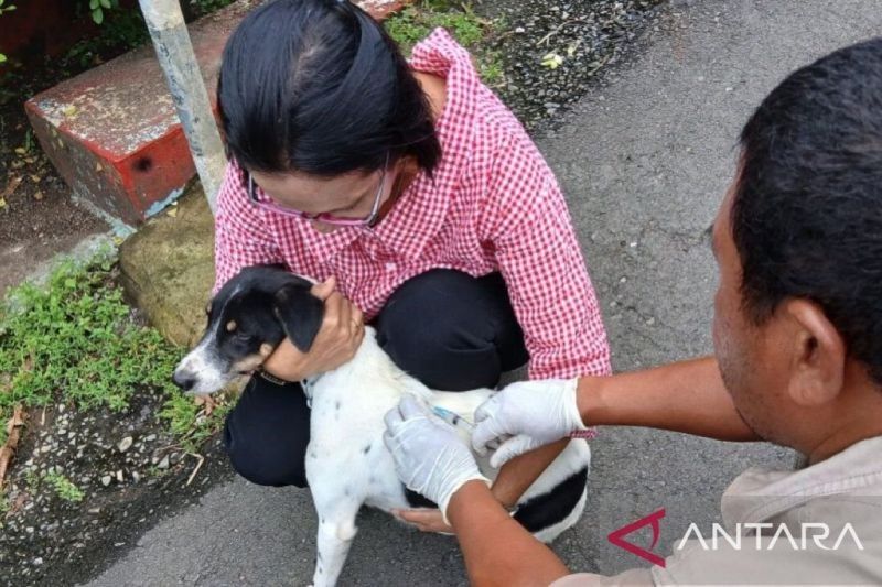 Unpatti Gandeng Pemprov Maluku Tingkatkan Pengendalian Rabies di Ambon