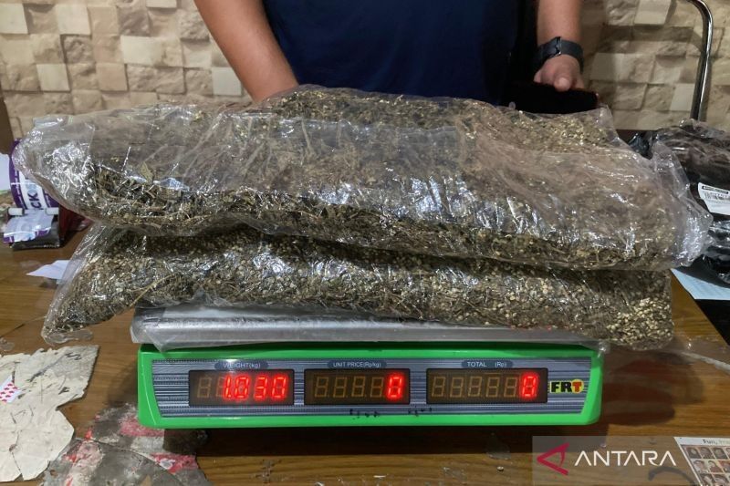 BNNP NTB Gagalkan Pengiriman 1 Kg Ganja dari Medan ke Lombok Timur