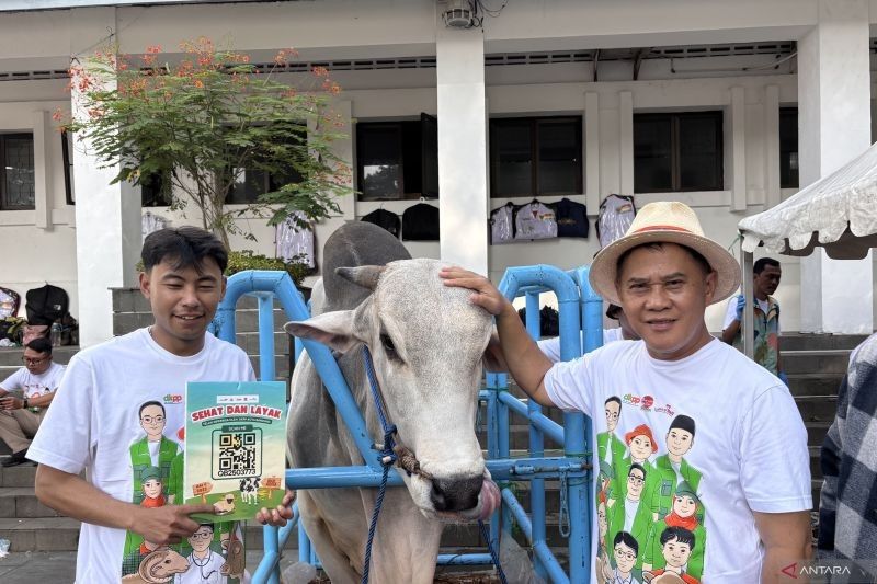 DKPP Bandung Kerahkan 156 Petugas Periksa Kesehatan Hewan Kurban Jelang Idul Adha 2025