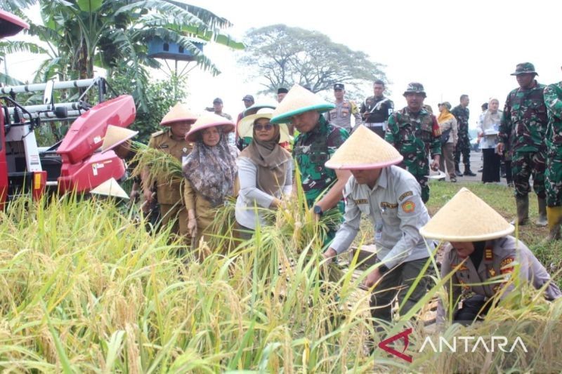 Danrem 051/Wkt Dampingi Petani Bekasi Panen Raya Padi, Bukti Ketahanan Pangan Nasional!