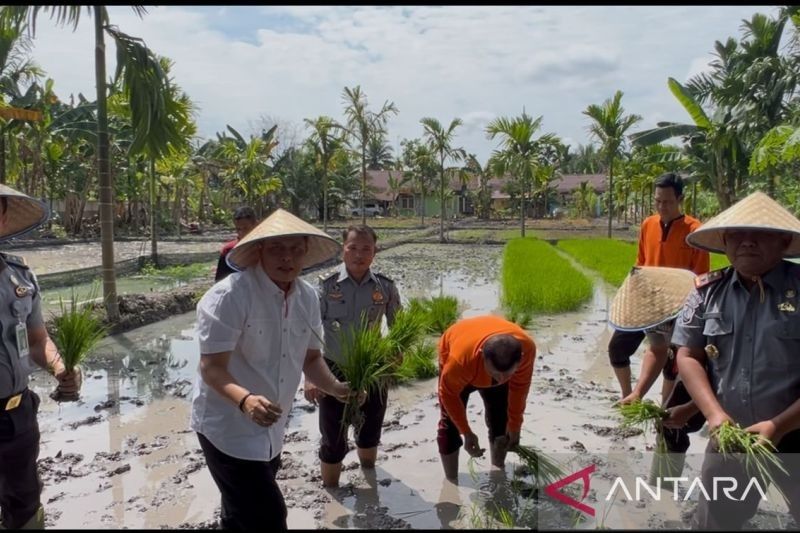 Ditjenpas Jambi Optimalkan Lahan UPT untuk Ketahanan Pangan Nasional