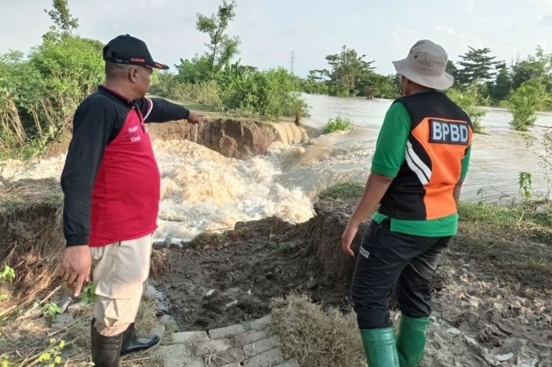 Banjir Rendam 11 Desa di Demak Akibat Tanggul Sungai Tuntang Jebol