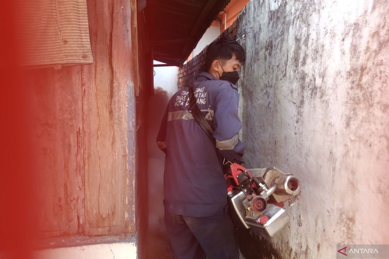 Waspada! Dinkes OKU Catat 113 Kasus DBD Hingga Mei 2025, Ini Imbauannya!