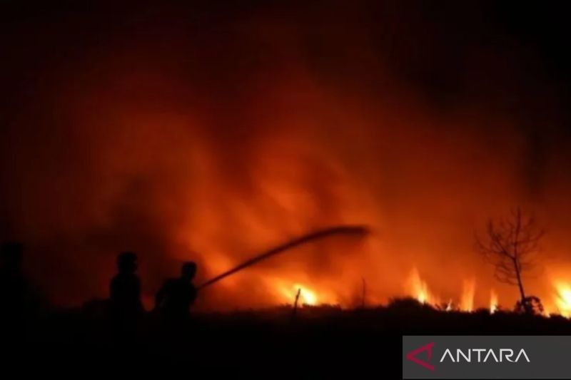 Antisipasi Karhutla, Dinsos Kalsel Mitigasi Dampak Puncak Kemarau 2025
