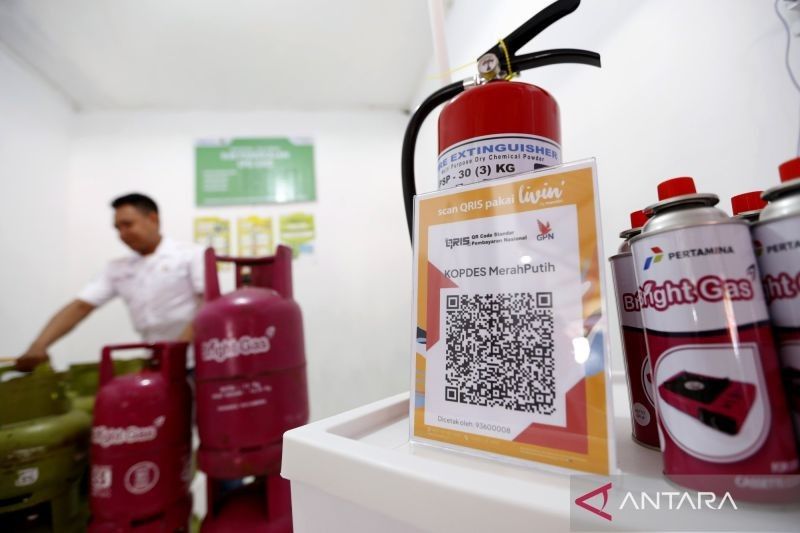 Mengapa Koperasi Desa Merah Putih Perlu Bisnis Baru? Ekonom: Hindari Bisnis Eksisting Demi Dampak Optimal