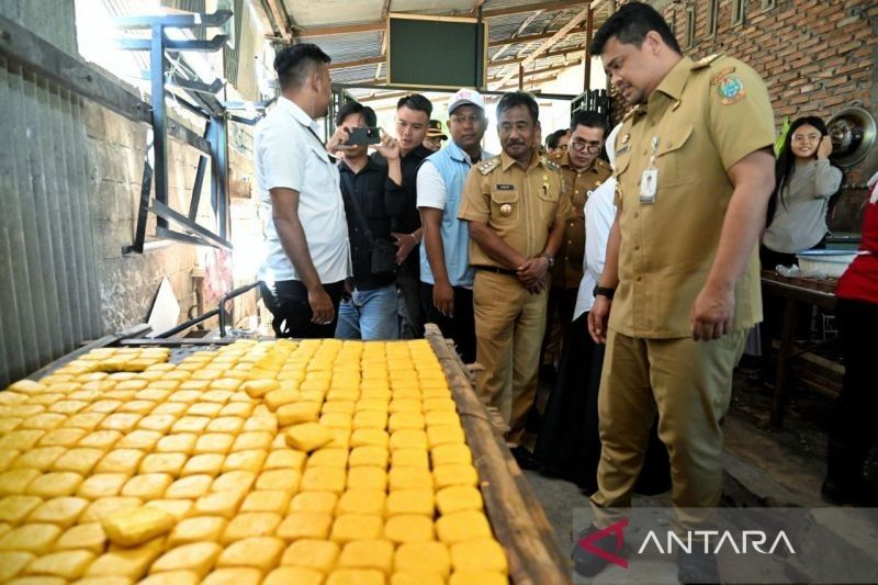 Terungkap! Perputaran Uang Koperasi Merah Putih Capai Rp2,5 Miliar, Ini Penjelasan Bobby Nasution