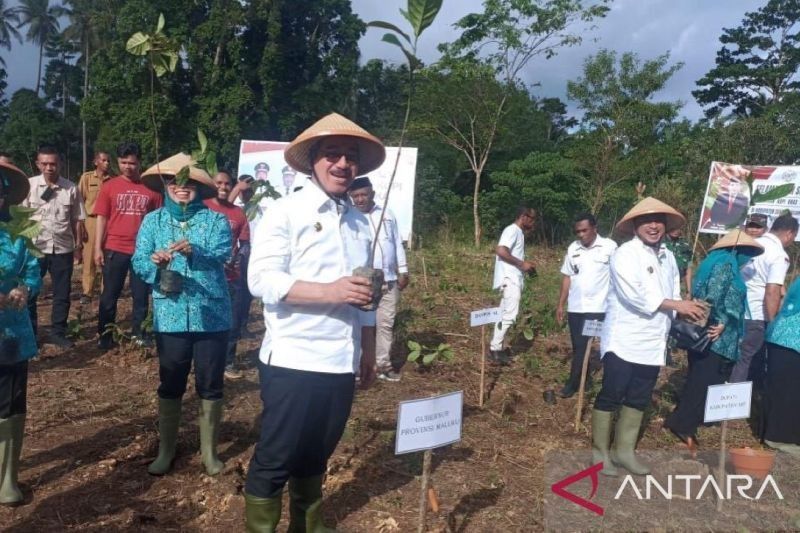 Tahukah Anda? Gubernur Maluku Dorong Kopi Maluku Mendunia, Beri Bantuan Pertanian di SBT