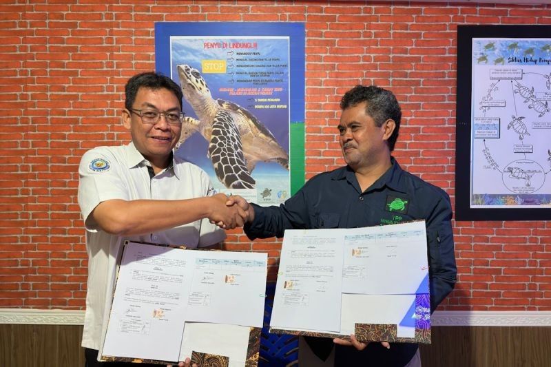 Fakta Unik Penyu: KKP dan YPP Bersinergi Kuatkan Perlindungan Penyu Raja Ampat demi Ekosistem Laut Berkelanjutan