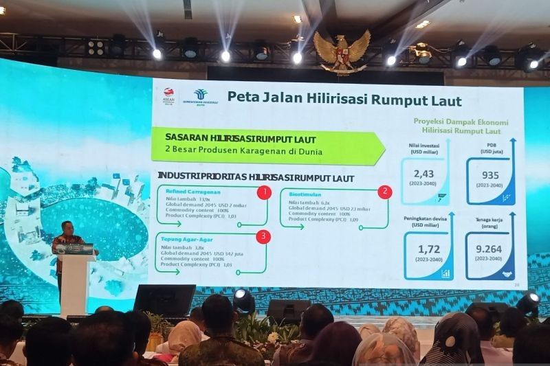 Trivia Pinrang: Garis Pantai 101 KM, Potensi Rumput Laut Pinrang Dikembangkan Jadi Komoditas Ekspor Unggulan