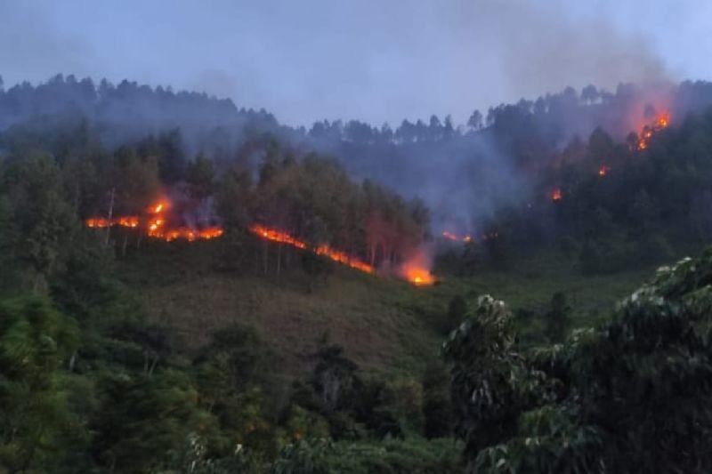 Tragedi Kebakaran Lahan Humbahas: Petani Tewas Terjebak Api, Polres Selidiki Unsur Kelalaian