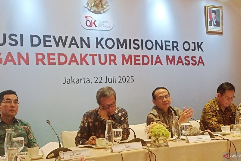 OJK Dorong Konsorsium Asuransi Lindungi Pinjaman Daring, Batas Toleransi TWP90 Tetap Terjaga
