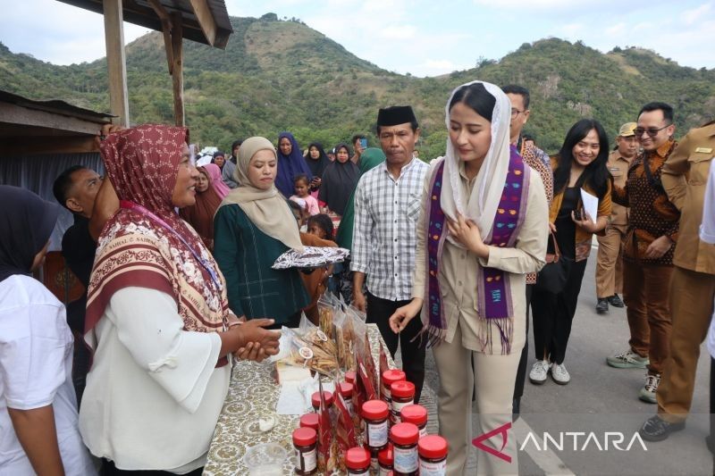 Wamendag Dorong Ekspor Produk Labuan Bajo, Perikanan Sudah Tembus Pasar Internasional Sejak 2024!
