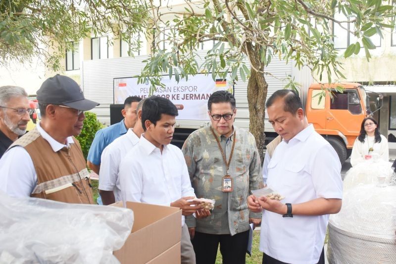 Tahukah Anda Vanili NTB Mendunia? Gubernur Iqbal Lepas Ekspor Komoditas Nontambang ke Amerika hingga Eropa