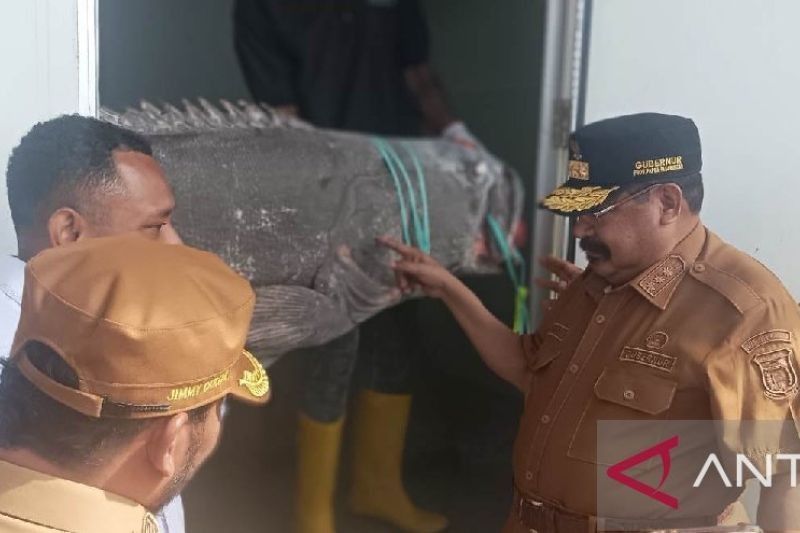 Biak Numfor Andalkan Perikanan dan Pariwisata sebagai Unggulan RPJMD: Ada Potensi Tuna Yellowfins dan Museum Bawah Laut!