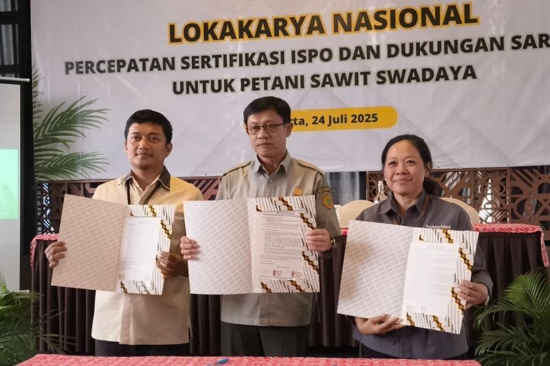 Fakta Menarik: Baru 6 Juta Petani Sawit Tersertifikasi ISPO, Kementan dan BPDP Genjot Percepatan
