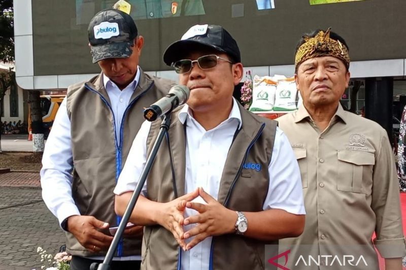 Target Ambisius: Bapanas Siapkan 1,3 Juta Ton Beras SPHP, Tahukah Anda Apa Itu SPHP?