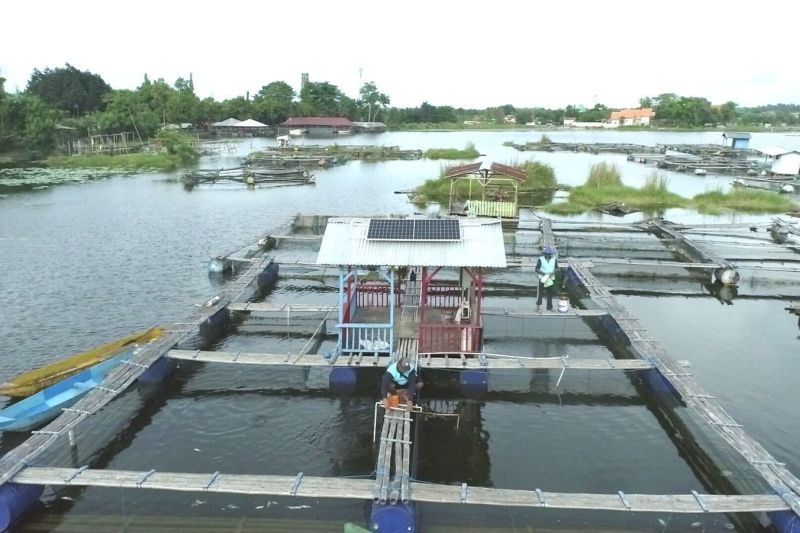 Tahukah Anda? PLTS Gantikan Genset, PLN IP Pasang PLTS Nelayan Danau Ranu di Keramba Tingkatkan Produktivitas