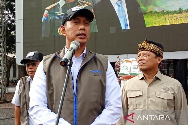 Rekor! Stok Beras Bulog Capai 4,2 Juta Ton, Tertinggi Sepanjang Sejarah Indonesia Merdeka