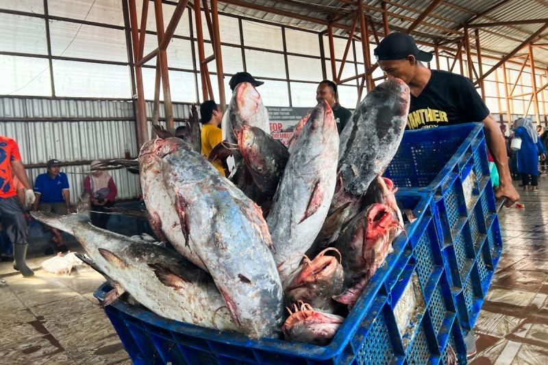 Tahukah Anda? KKP Gencarkan Pembinaan Izin Edar Produk Perikanan untuk Daya Saing Global