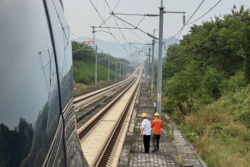 Tahukah Anda Penyebab Keterlambatan? Kereta Cepat Whoosh Tertahan 40 Menit Akibat Menabrak Biawak