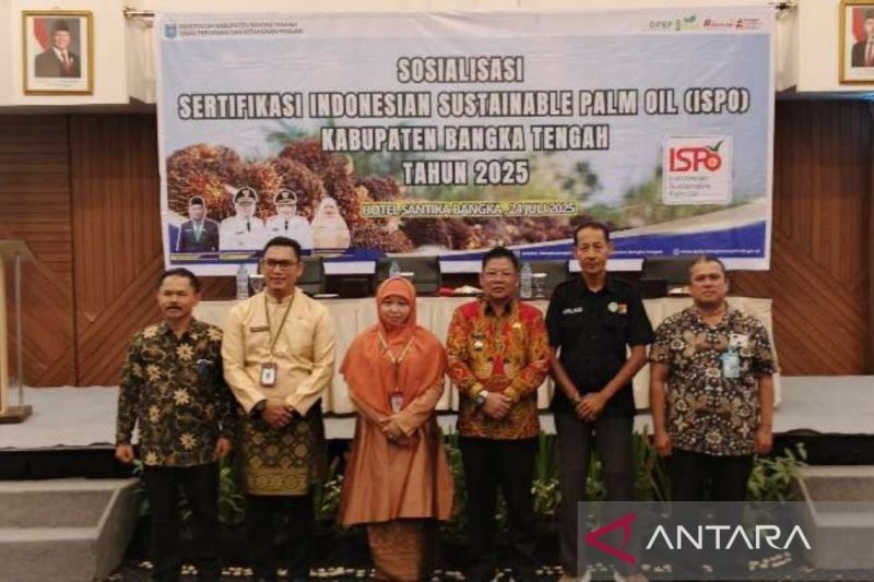 Bangka Tengah Gencarkan Sertifikasi ISPO, Kunci Sawit Berkelanjutan Demi Ekonomi Lokal