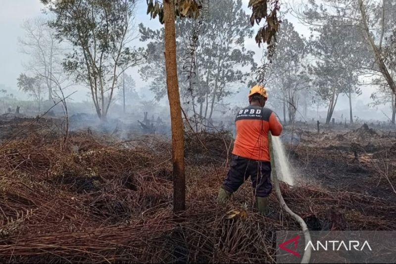 Fakta Unik: Tim Gabungan Berjibaku Padamkan Karhutla di Rasau Jaya Kubu Raya dalam Hitungan Jam
