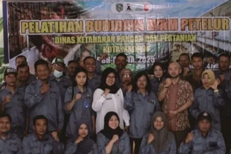 Fakta Unik: 40 Peserta Ikuti Pelatihan Budidaya Ayam Petelur Madiun, Tingkatkan Produksi Telur!