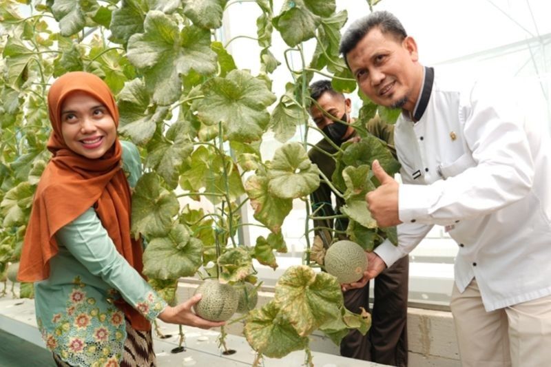 Proklim RW 02 Kelapa Dua Kebon Jeruk: Adaptif dan Berorientasi Ekonomi, Berpotensi Jadi Percontohan Nasional