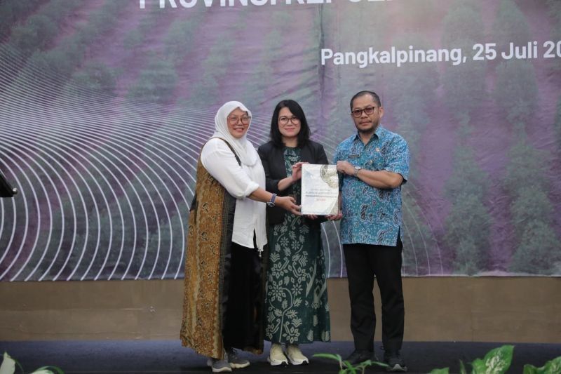 Fakta Unik: Mangrove Mampu Serap Karbon! KKMD Babel Gencarkan Rehabilitasi Hutan Mangrove 66.711 Hektare