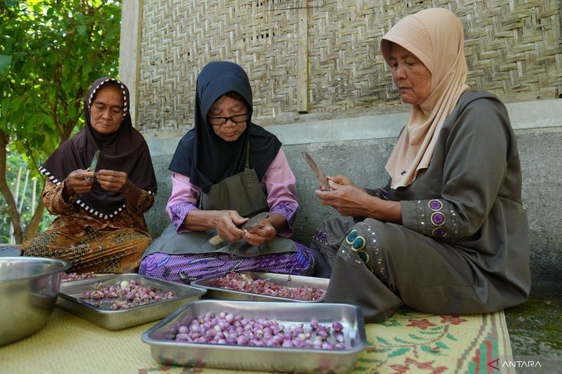 Menjelang 2045, Indonesia Diproyeksikan Miliki 20% Lansia: Mendorong Lansia Berdaya Melalui Layanan Terintegrasi