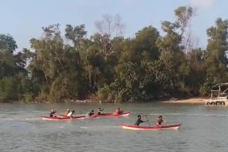 PT Timah Lestarikan Lomba Dayung Tradisional Bangka: Tahukah Anda, Ini Bagian dari Hari Mangrove Sedunia?