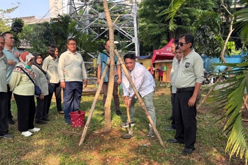 Mirip Sakura, Fakta Unik Tabebuya Hiasi Penanaman Pohon Jakarta Barat di Grogol Petamburan
