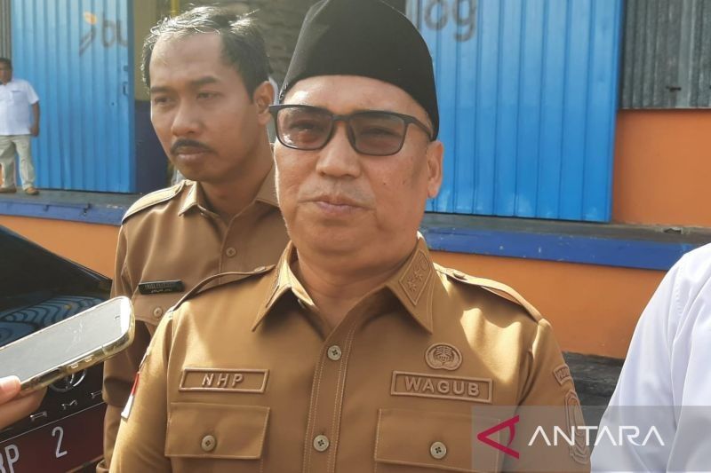 Fakta Unik: Mengapa Kepri Berpotensi Jadi Pusat Investasi AI dan Pusat Data Global? Wagub Ungkap Daya Tarik Geografisnya