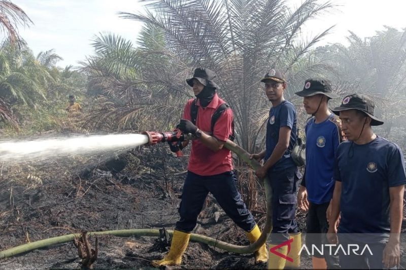 Trivia: Asap Ganggu Pernapasan, BPBD Aceh Barat Berjibaku Padamkan Kebakaran Lahan Satu Hektare di Woyla