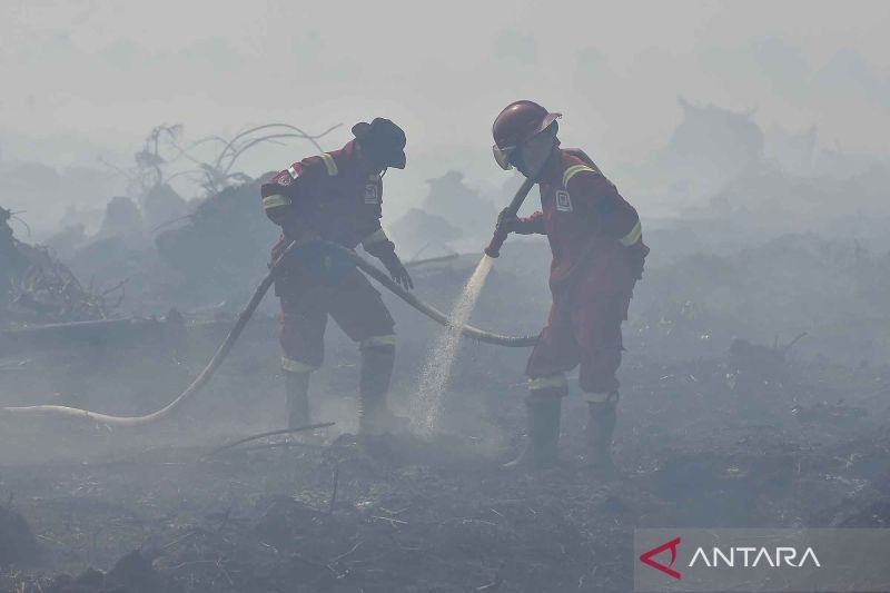 Tahukah Anda Pentingnya Water Bombing? BNPB Kerahkan Helikopter ke Jambi Atasi Kebakaran Hutan