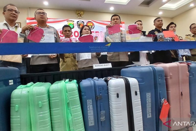 Terungkap! 7 Tersangka Penyelundupan Benih Lobster, Termasuk Petugas Bandara Soekarno-Hatta, Terancam 6 Tahun Penjara