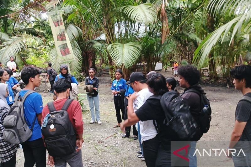 Tahukah Anda? Disbudpar Jayapura Kembangkan Wisata Kampung untuk Perkuat Ekonomi Lokal