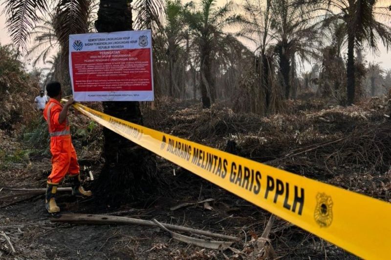 Tahukah Anda? KLH Segel Kebun Sawit dan Pabrik di Riau, 5 Perusahaan Terkena Sanksi Akibat Karhutla