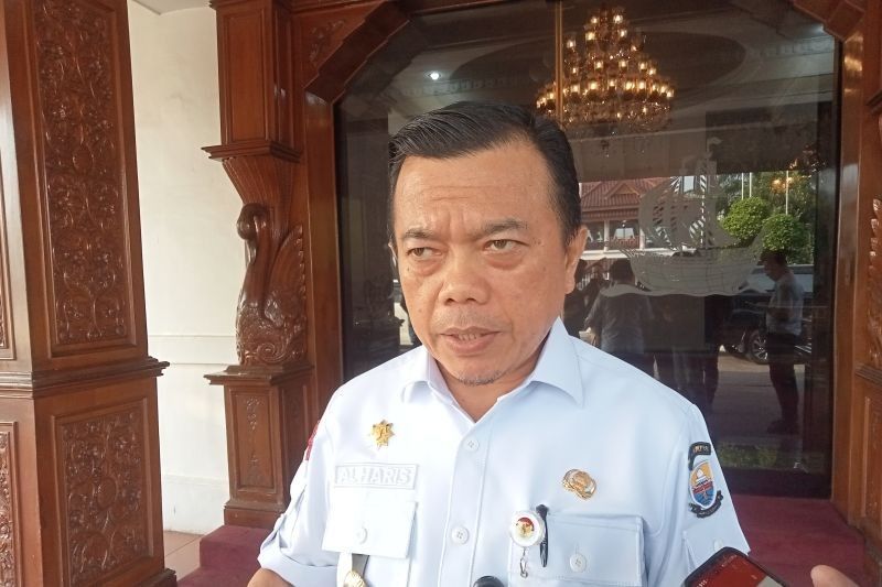 Tahukah Anda Jambi Hasilkan 4 Juta Butir Kelapa Per Tahun? Pemerintah Gandeng Danantara Kembangkan Hilirisasi Kelapa di Jambi