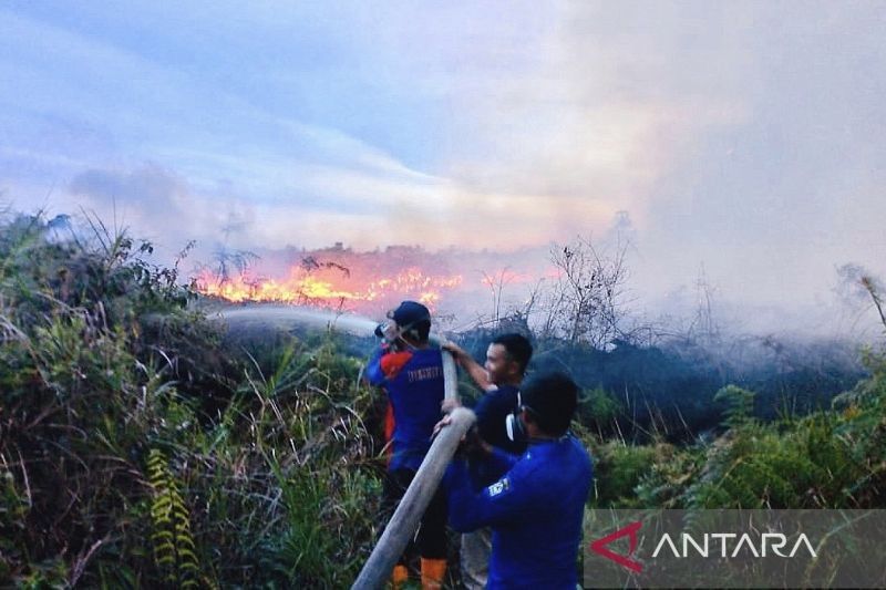 Waspada! BMKG Ungkap Potensi Karhutla Aceh Masih Tinggi hingga Agustus 2025, Ini Penyebabnya